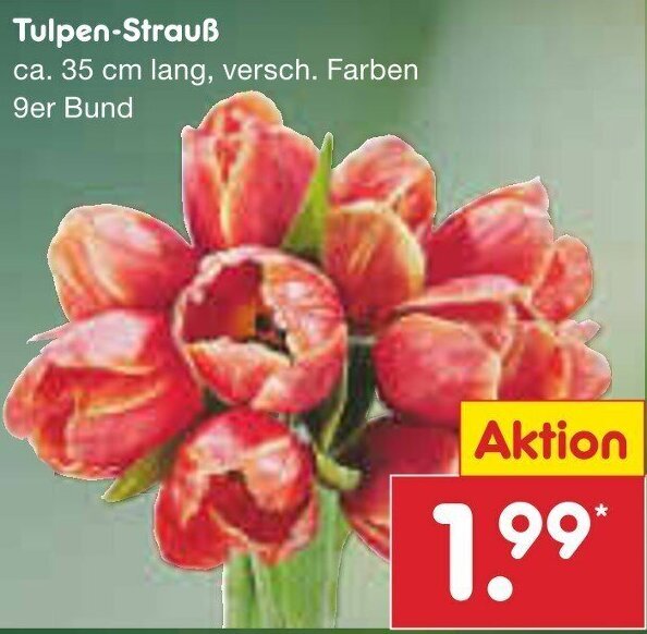 Tulpen Strau Er Bund Angebot Bei Netto Marken Discount