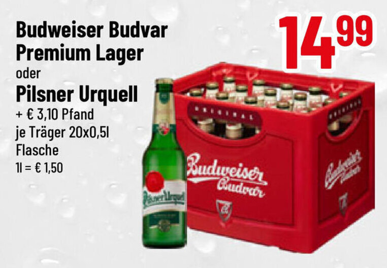 Budweiser Budvar Premium Lager Oder Pilsner Urquell 20 500ml Angebot