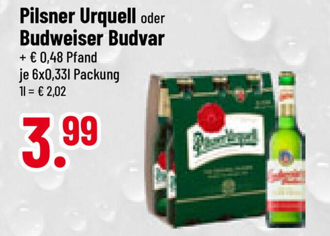 Pilsner Urquell Oder Budweiser Budvar Ml Angebot Bei Trinkgut