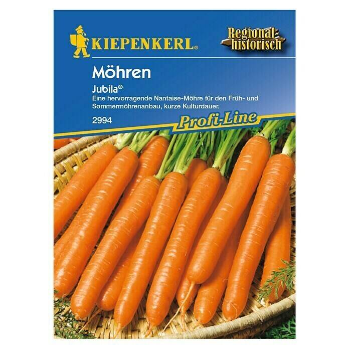 Kiepenkerl Profi Line Gem Sesamen M Hren Daucus Carota Ssp Sativus