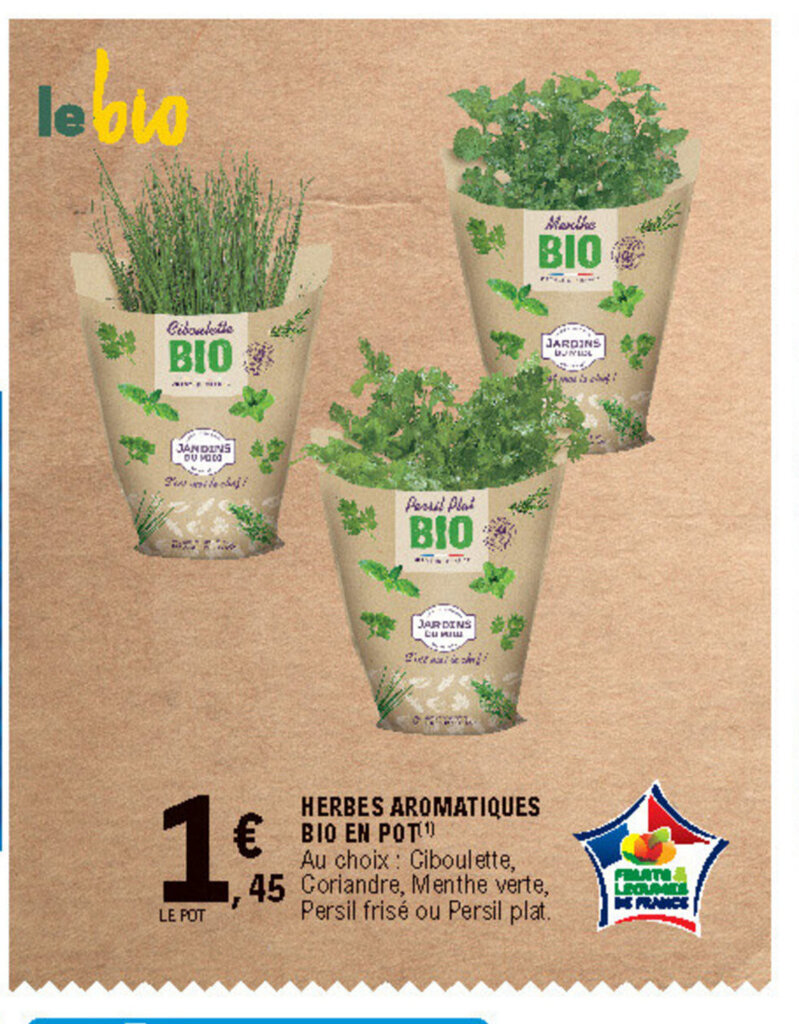 Promo Herbes Aromatiques Bio En Pot Chez E Leclerc