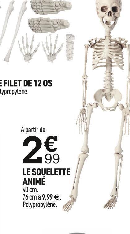 Promo Le Squelette Chez Centrakor