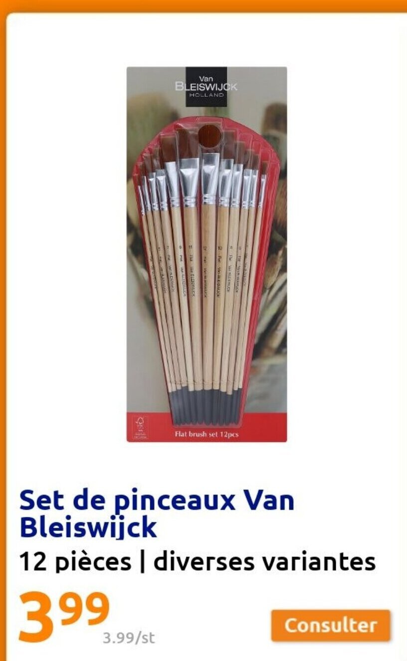 Promo Set De Pinceaux Van Bleiswijck Chez Action