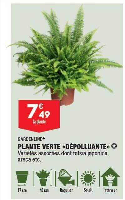 Promo Plante Verte D Polluante Gardenline Chez Aldi