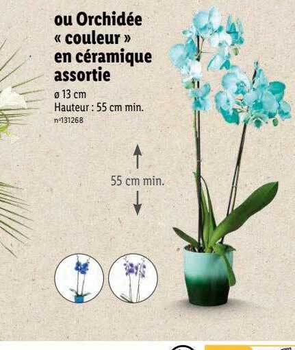 Promo Ou orchidée couleur en céramique assortie chez Lidl