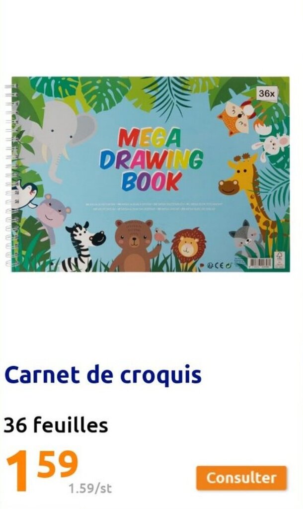 Promo Carnet De Croquis Chez Action