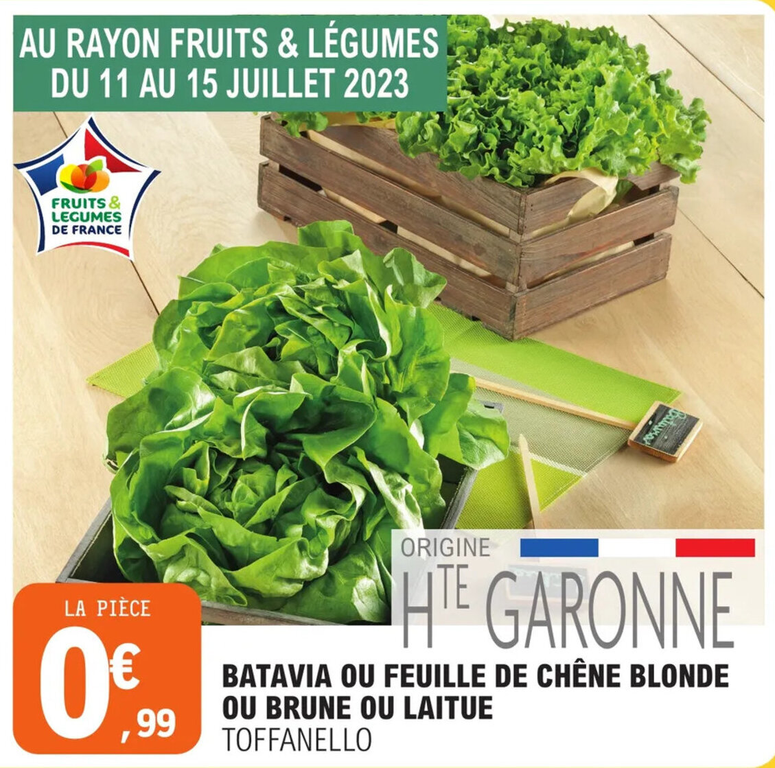 Promo BATAVIA OU FEUILLE DE CHÊNE BLONDE OU BRUNE OU LAITUE TOFFANELLO