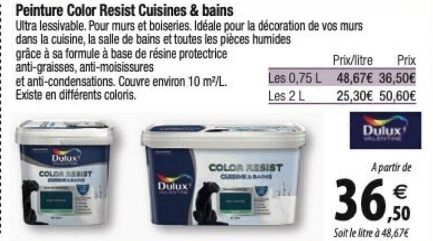 Promo Peinture Color Resist Cuisines bains chez Tridôme