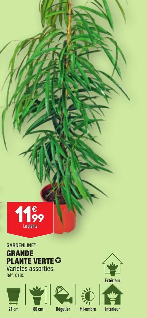 Promo GARDENLINE PLANTE VERTE Chez ALDI