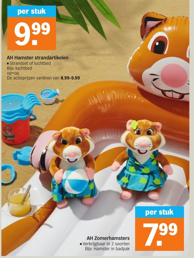 Hamster Strandartikelen Per Stuk Aanbieding Bij Albert Heijn