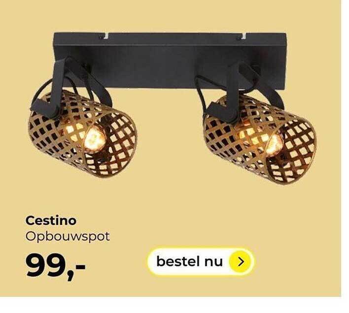 Cestino Opbouwspot Aanbieding Bij Lampidee