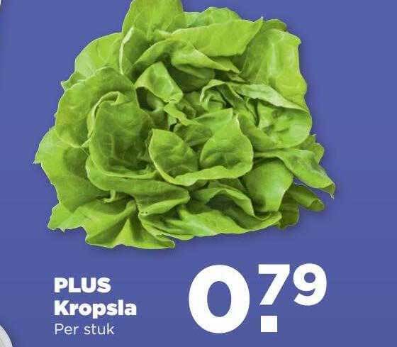 Plus Kropsla Aanbieding Bij PLUS