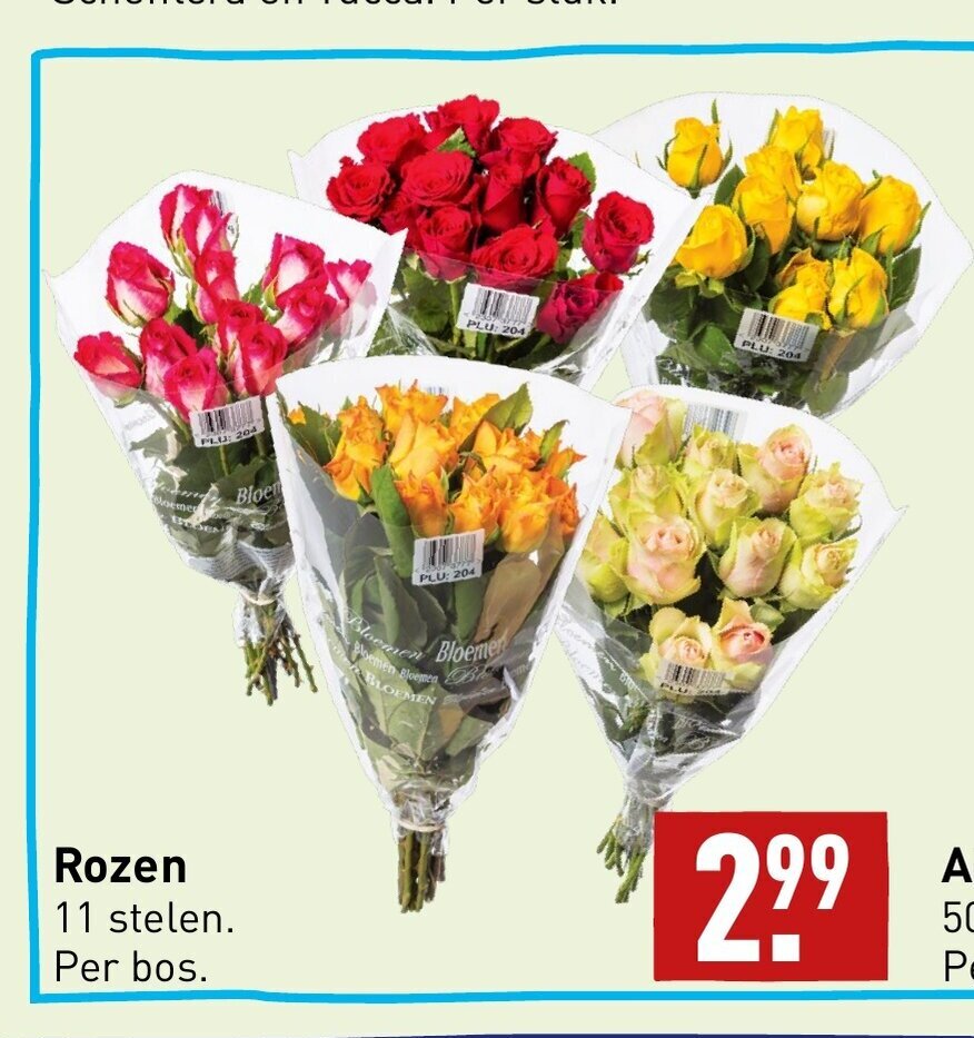 Rozen 11 Stelen Aanbieding Bij ALDI