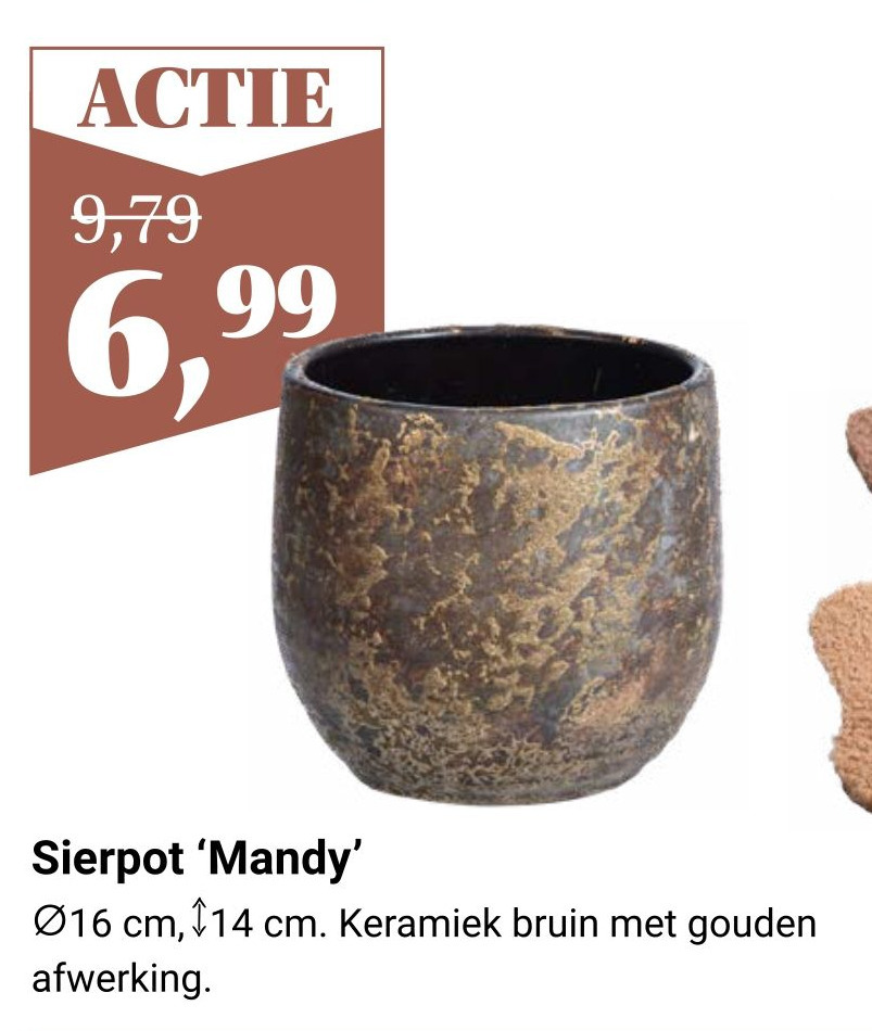 Sierpot Mandy Aanbieding Bij Tuincentrum Osdorp