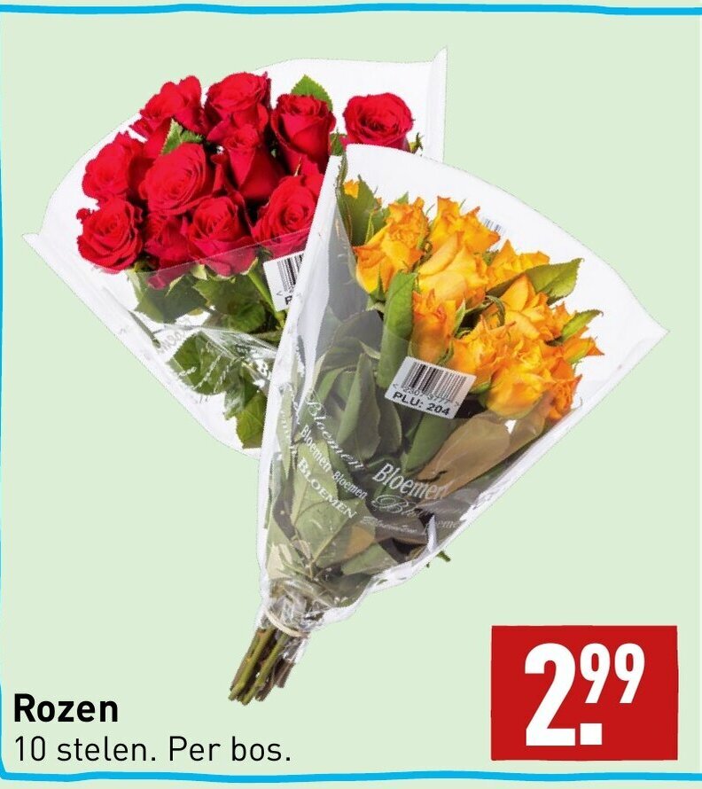 Rozen 10 Stelen Aanbieding Bij ALDI