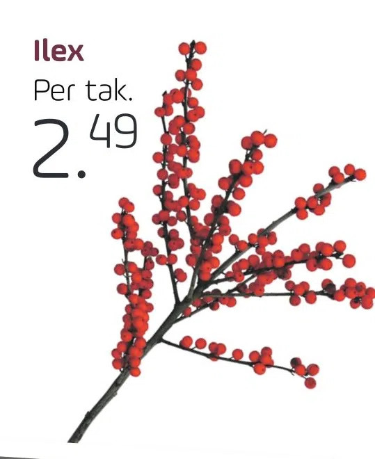 Ilex Aanbieding Bij Coppelmans