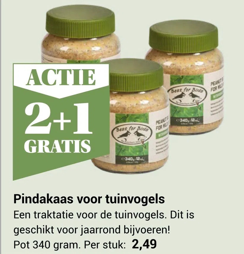 Pindakaas Voor Tuinvogels Aanbieding Bij Tuinwereld Gratis Per Stuk