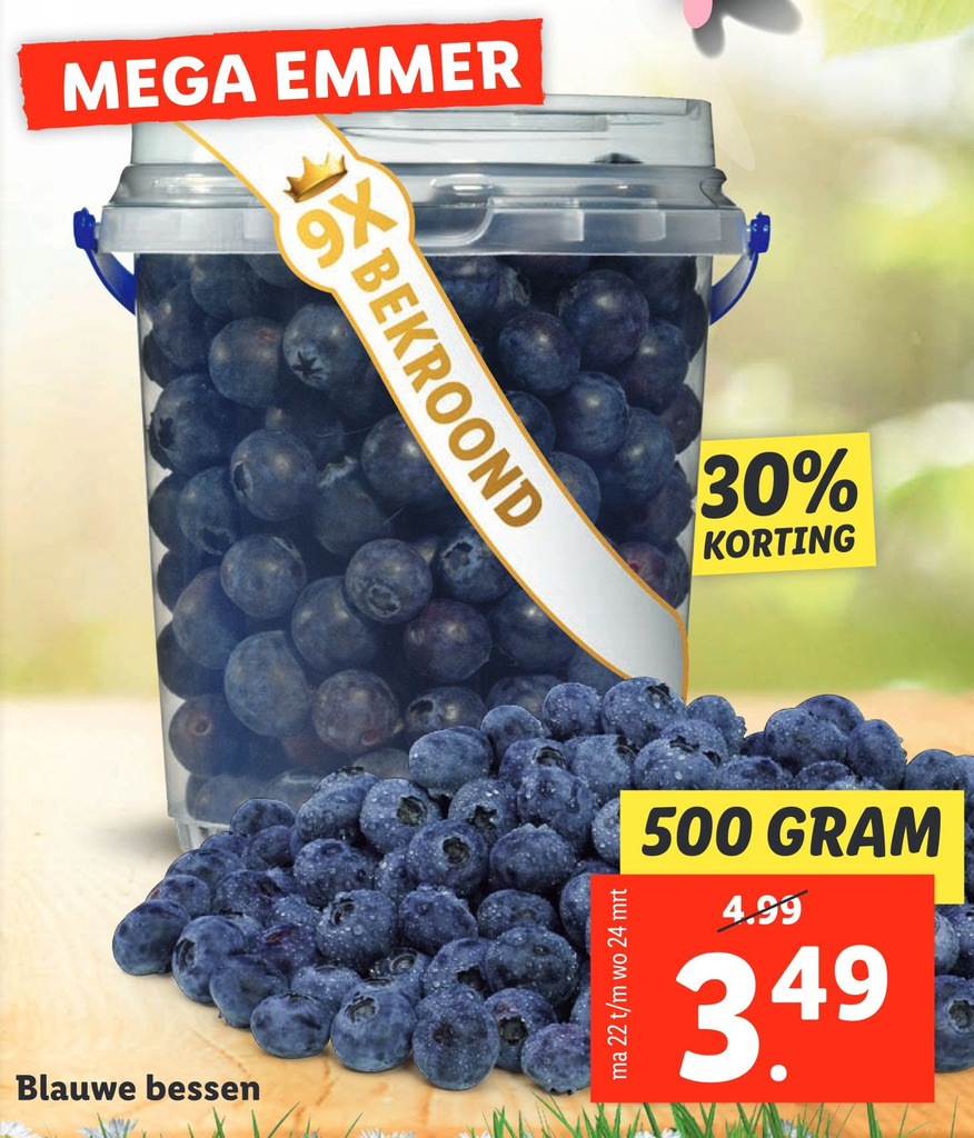 Blauwe Bessen Gram Aanbieding Bij Lidl