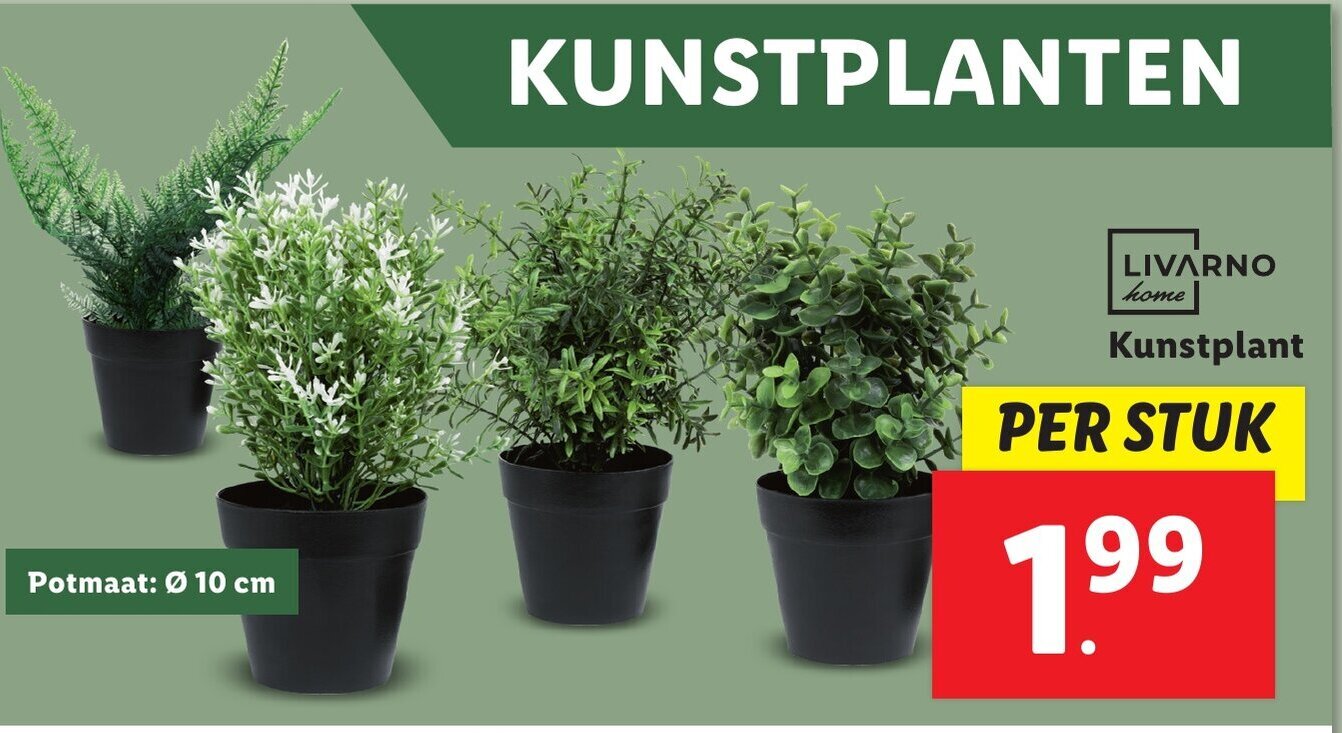 Livarno Home Kunstplant Aanbieding Bij Lidl