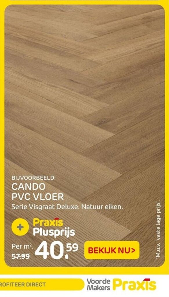 Cando Pvc Vloer Serie Visgraat Deluxe Natuur Eiken Aanbieding Bij Praxis