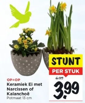 Keramiek ei met narcissen of kalanchoë aanbieding bij Vomar