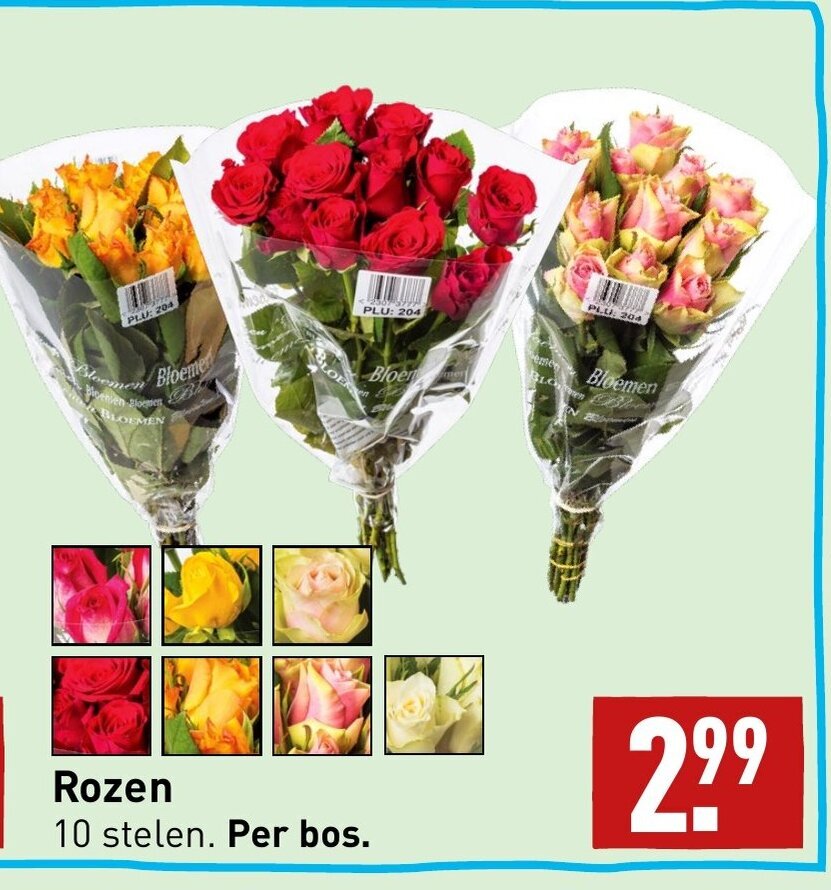 Rozen Aanbieding Bij ALDI