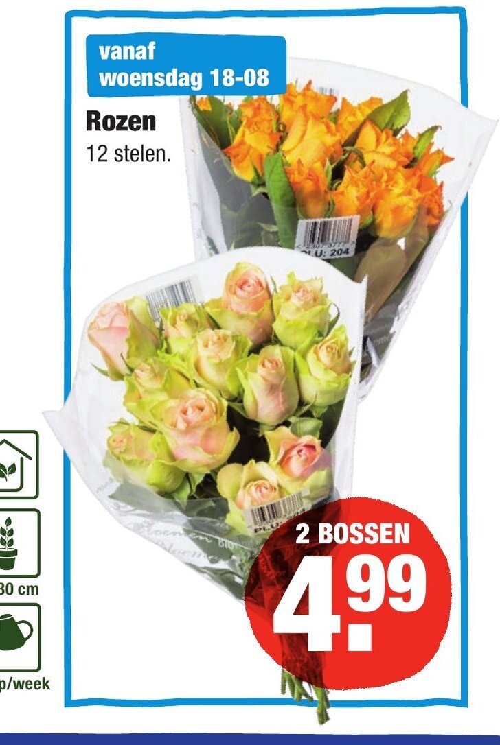 Rozen 12 Stelen 2 Bossen Aanbieding Bij ALDI