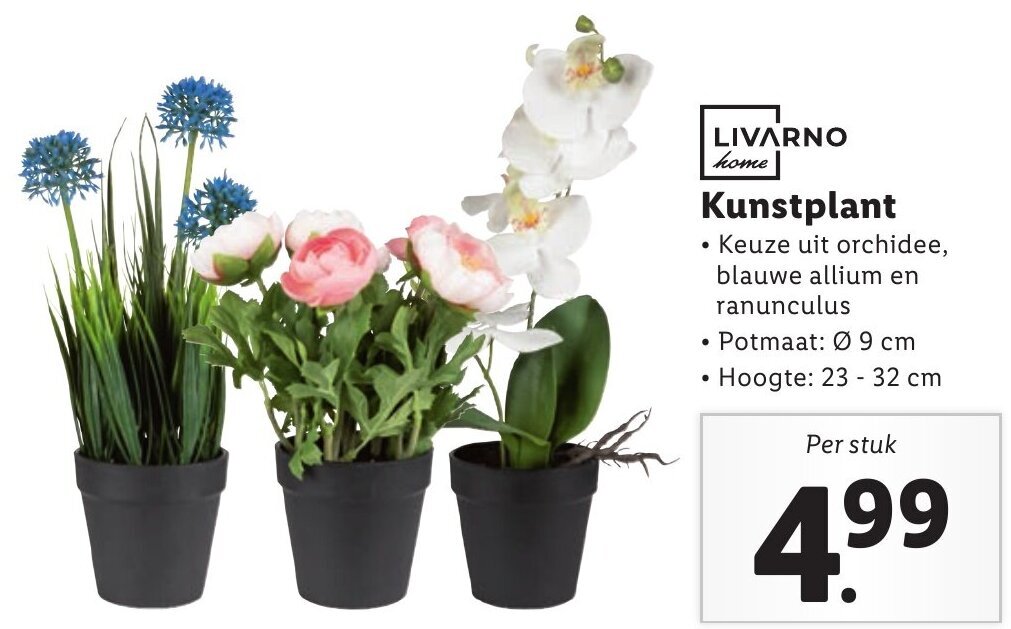 Livarno Home Kunstplant Aanbieding Bij Lidl