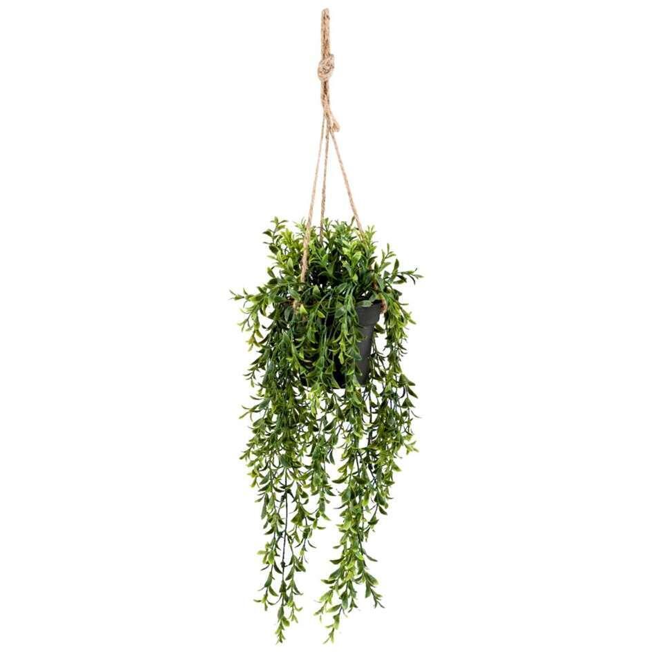 Boxwood Kunst Hangplant Groen 50 Cm Leen Bakker Aanbieding Bij