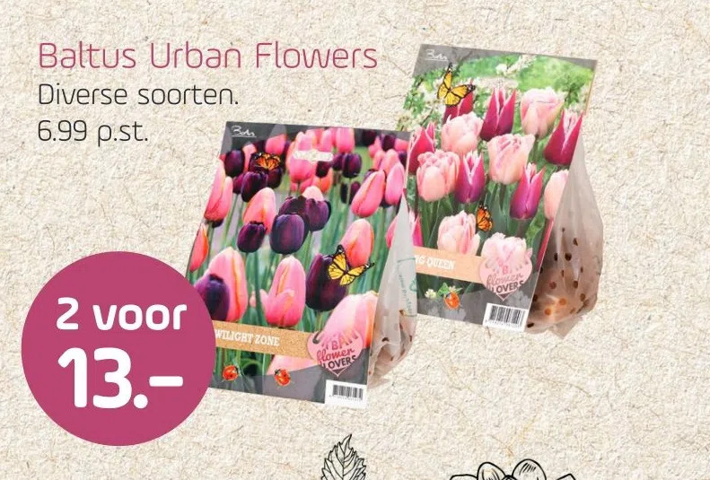 Baltus Urban Flowers Aanbieding Bij Coppelmans