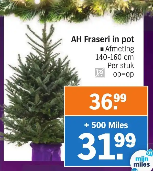 Ah Fraseri In Pot Aanbieding Bij Albert Heijn