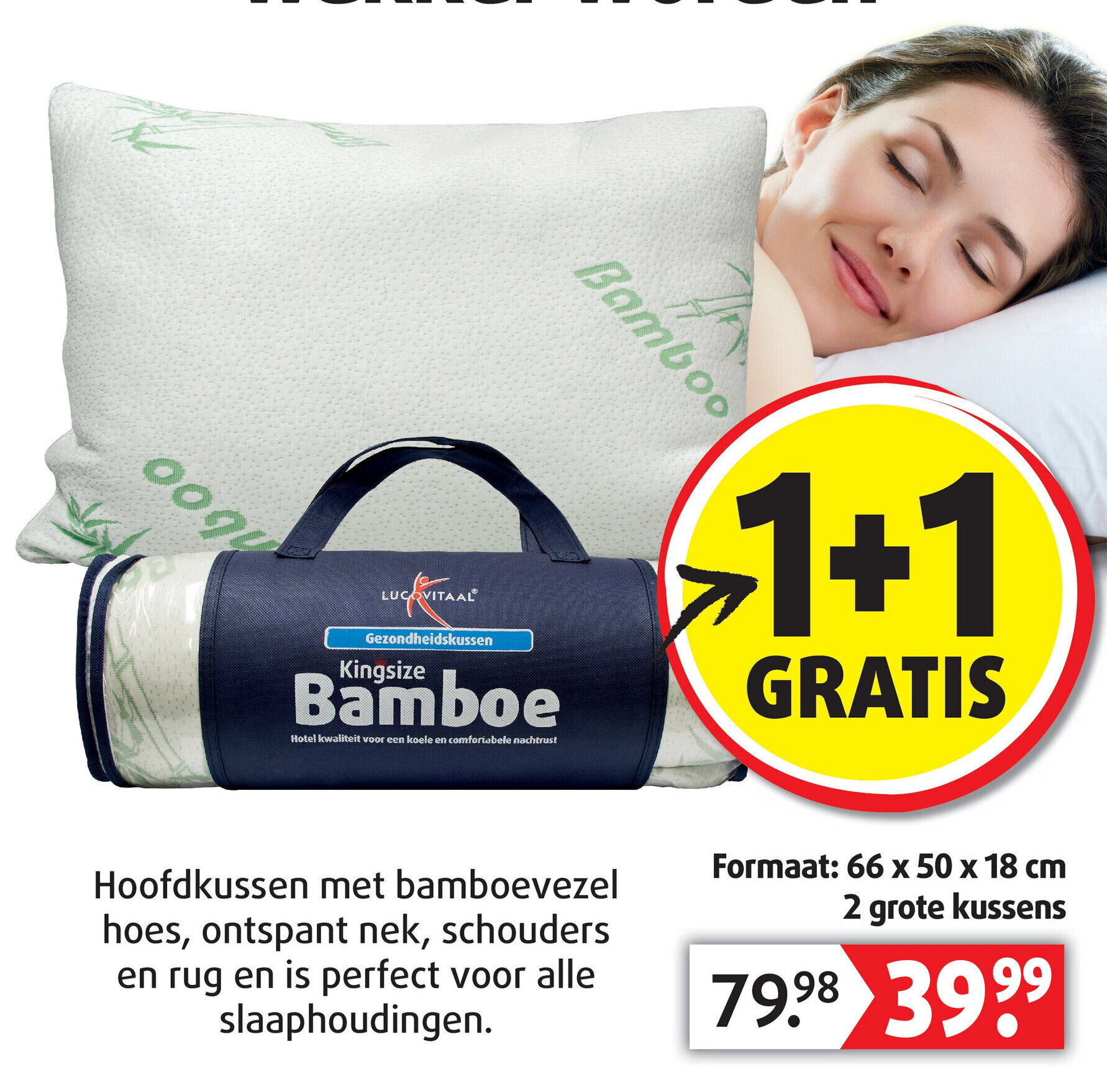 Kingsize Bamboe 66x50x18 Cm 2 Grote Kussens Aanbieding Bij Lucovitaal