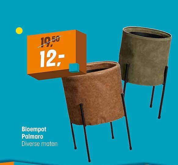 Bloempot Palmaro Aanbieding Bij Kwantum