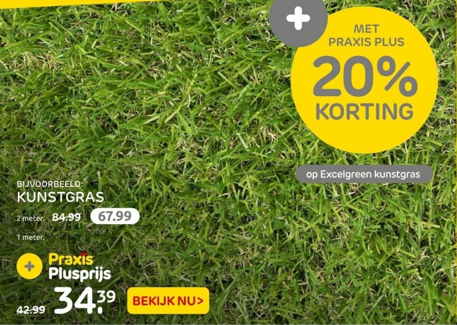 Kunstgras Aanbieding Bij Praxis