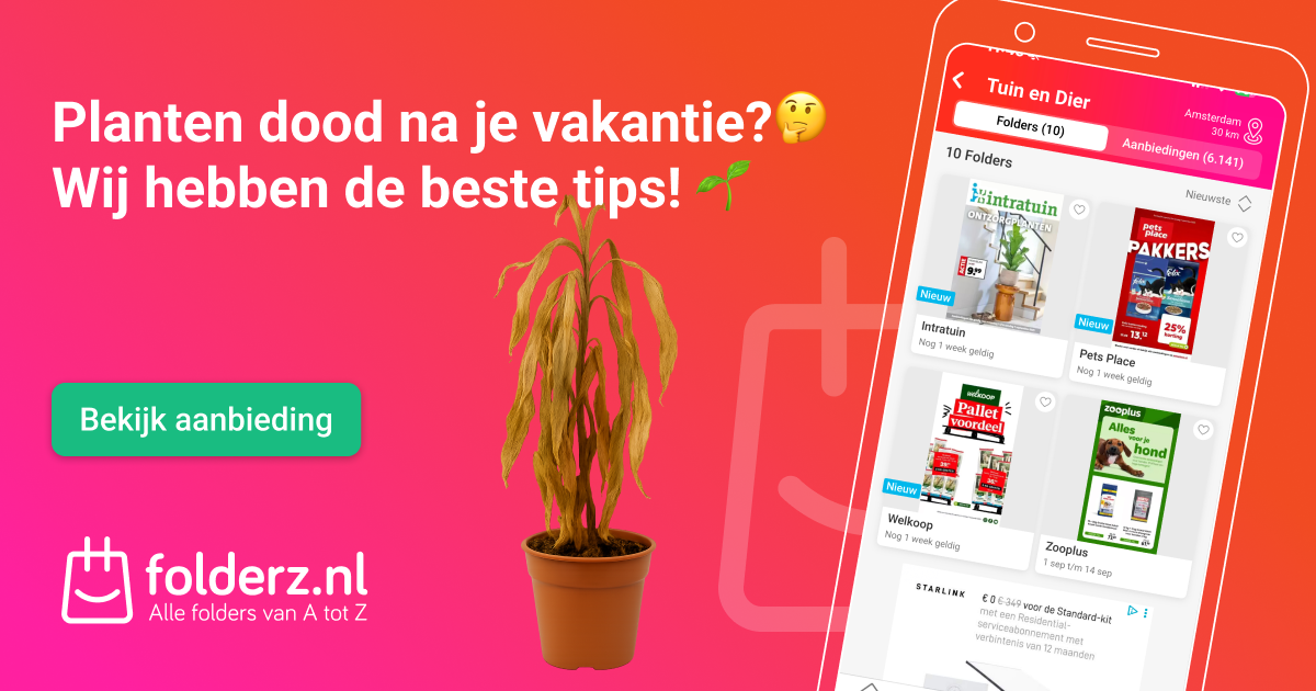 Planten verzorgen na vakantie: zo red je ze én vernieuw je jouw huis & tuin 🌱
