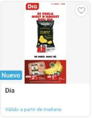 Folleto Dia