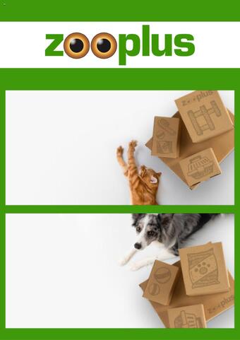flyer-cover