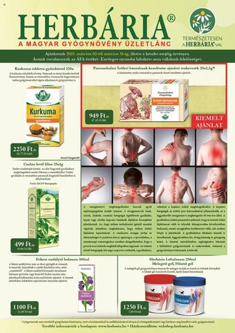 flyer-cover