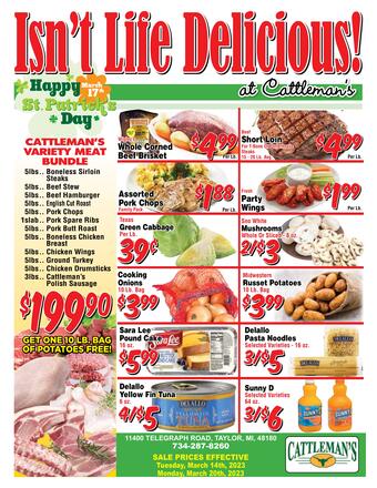 flyer-cover