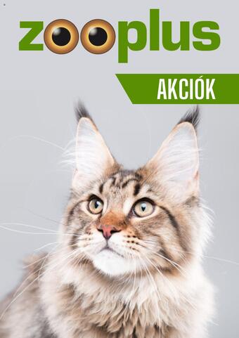 flyer-cover