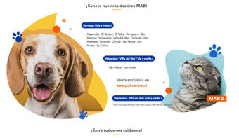 flyer-cover