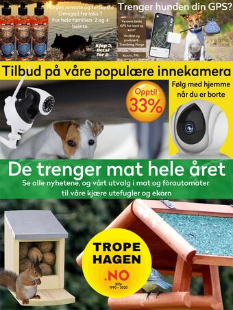 flyer-cover