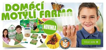 flyer-cover