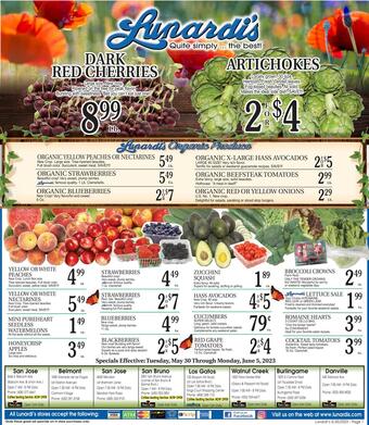 flyer-cover