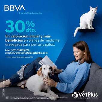 Catálogo BBVA (válido hasta 8-01)