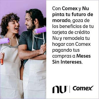Catálogo Comex (válido hasta 3-01)