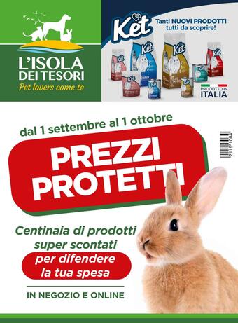 flyer-cover
