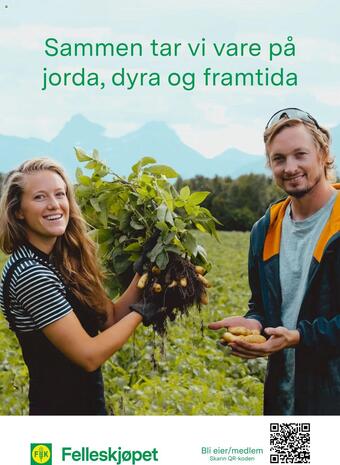 Felleskjøpet Kundeavis (gyldig til 31-12)
