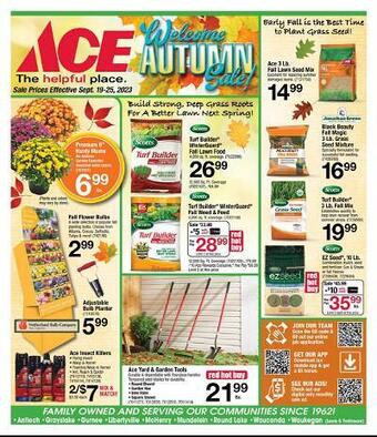 Ace Hardware Weekly Ad (valid until 25-09)