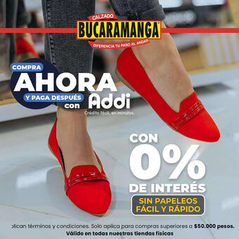 flyer-cover